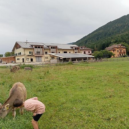 Maso Torbiera- Rural And Mountain Lodging Fiavè Extérieur photo