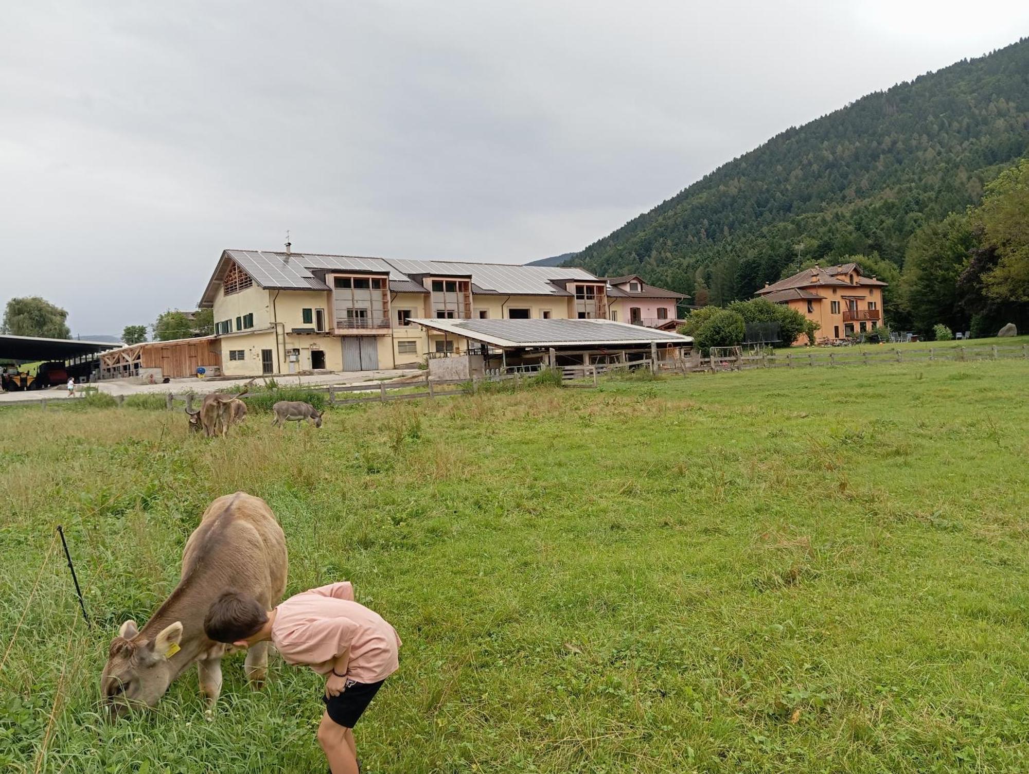 Maso Torbiera- Rural And Mountain Lodging Fiavè Extérieur photo
