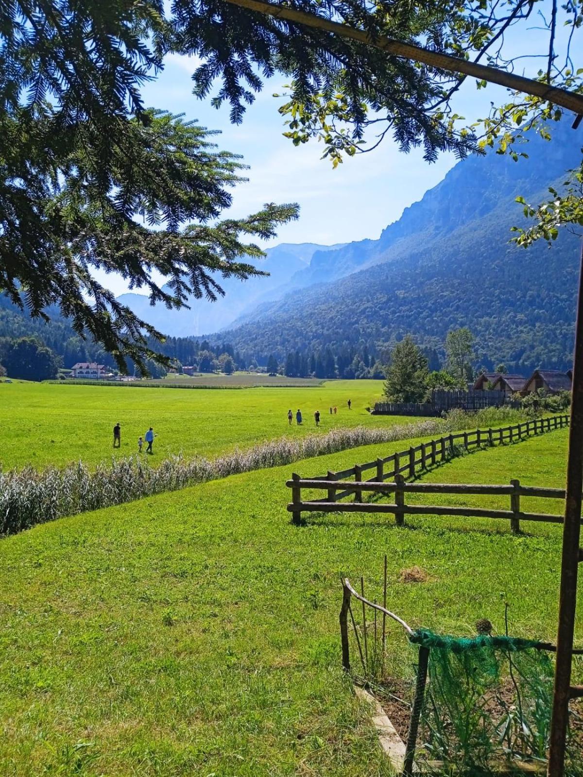 Maso Torbiera- Rural And Mountain Lodging Fiavè Extérieur photo