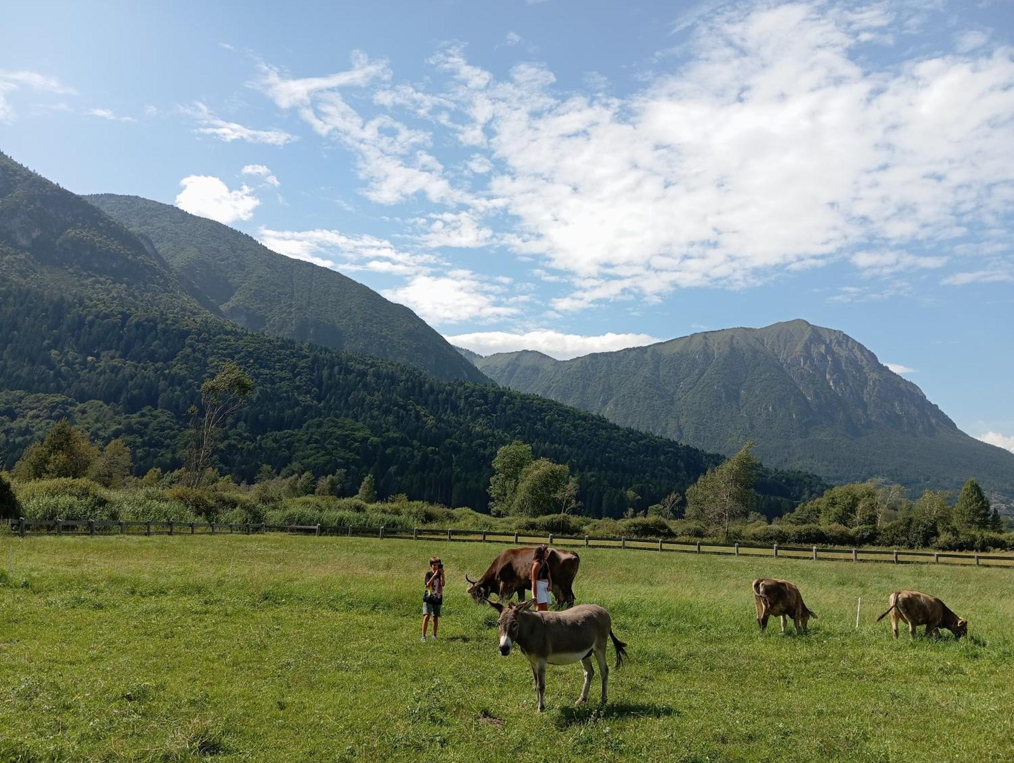 Maso Torbiera- Rural And Mountain Lodging Fiavè Extérieur photo